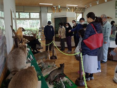 【2/1受付開始】野生動物と共生（ジビエ料理）を学ぶ【三木山森林公園】