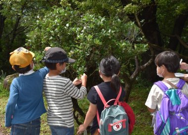 【5/1申込開始】6月森のフシギさがし【姫路市自然観察の森】