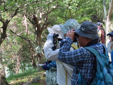 【5/1申込開始】6月バードウォッチング入門【姫路市自然観察の森】