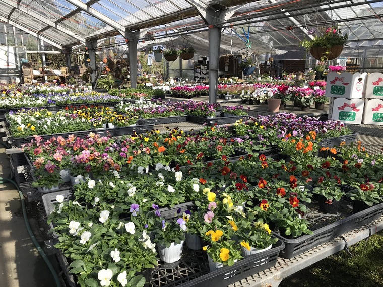 「加西」自然の中のパン屋さん。【パン処 森庵（もりあん）】の絶品コルネをぜひお店にお庭でご賞味あれ♪ クルールはりま—【ちょこっと旅プラス】