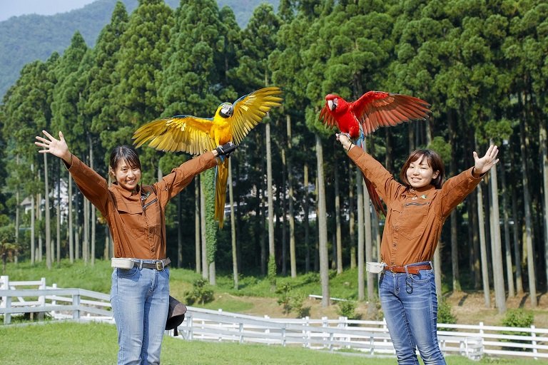 神崎農村公園ヨーデルの森