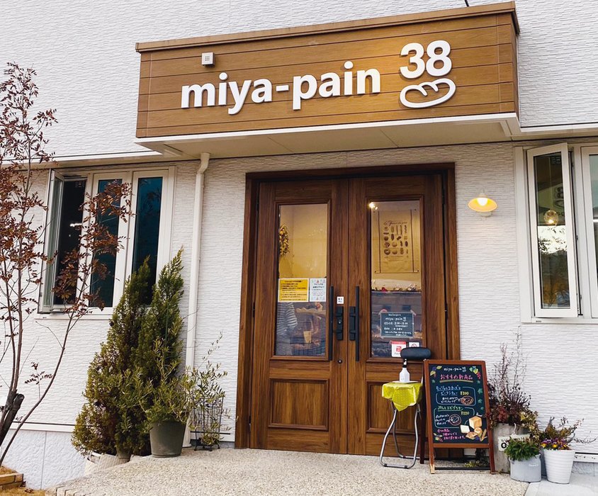 miya-pain 38