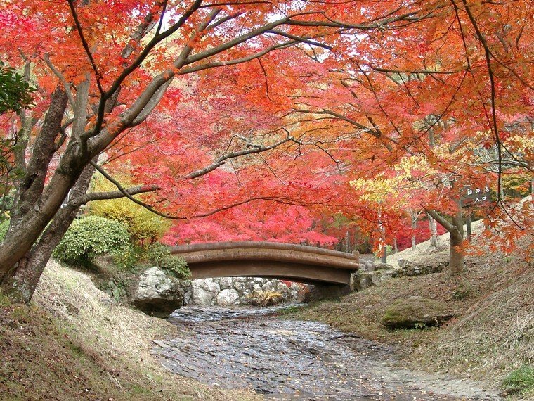 東山公園