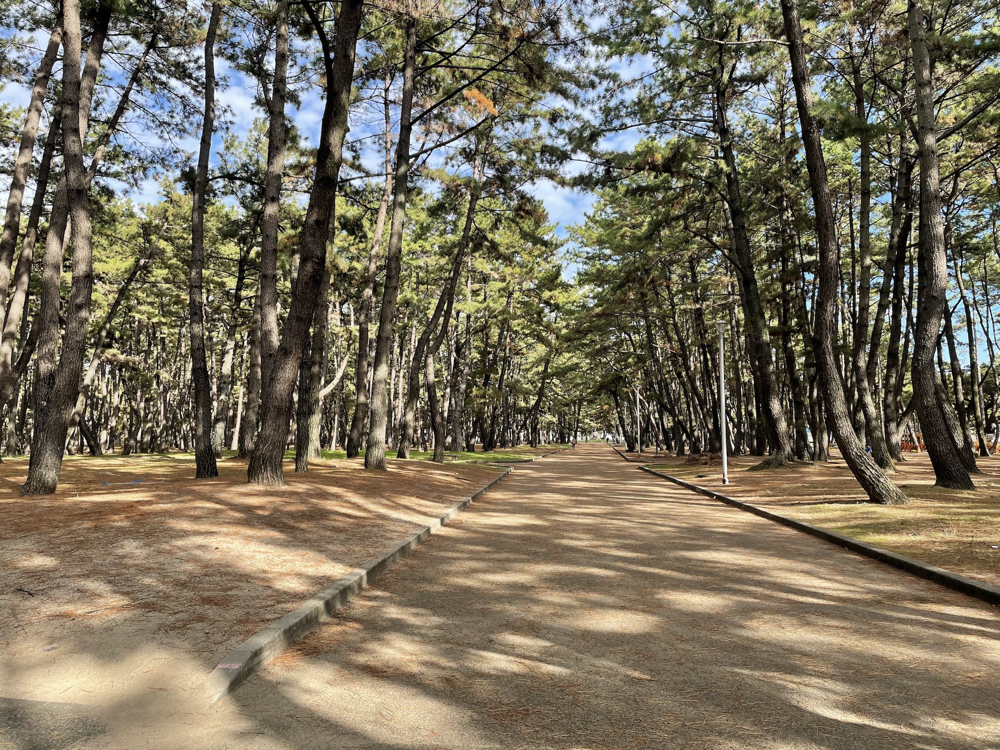 浜の宮公園