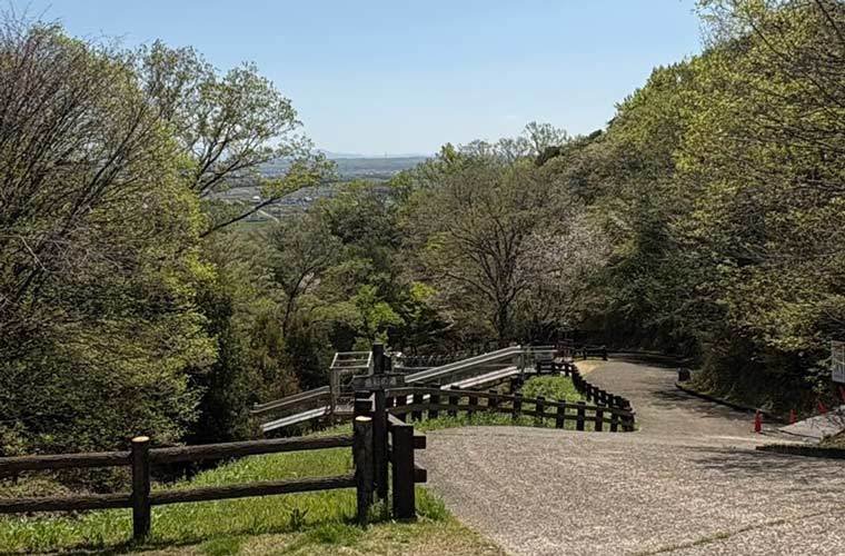 夢の森公園