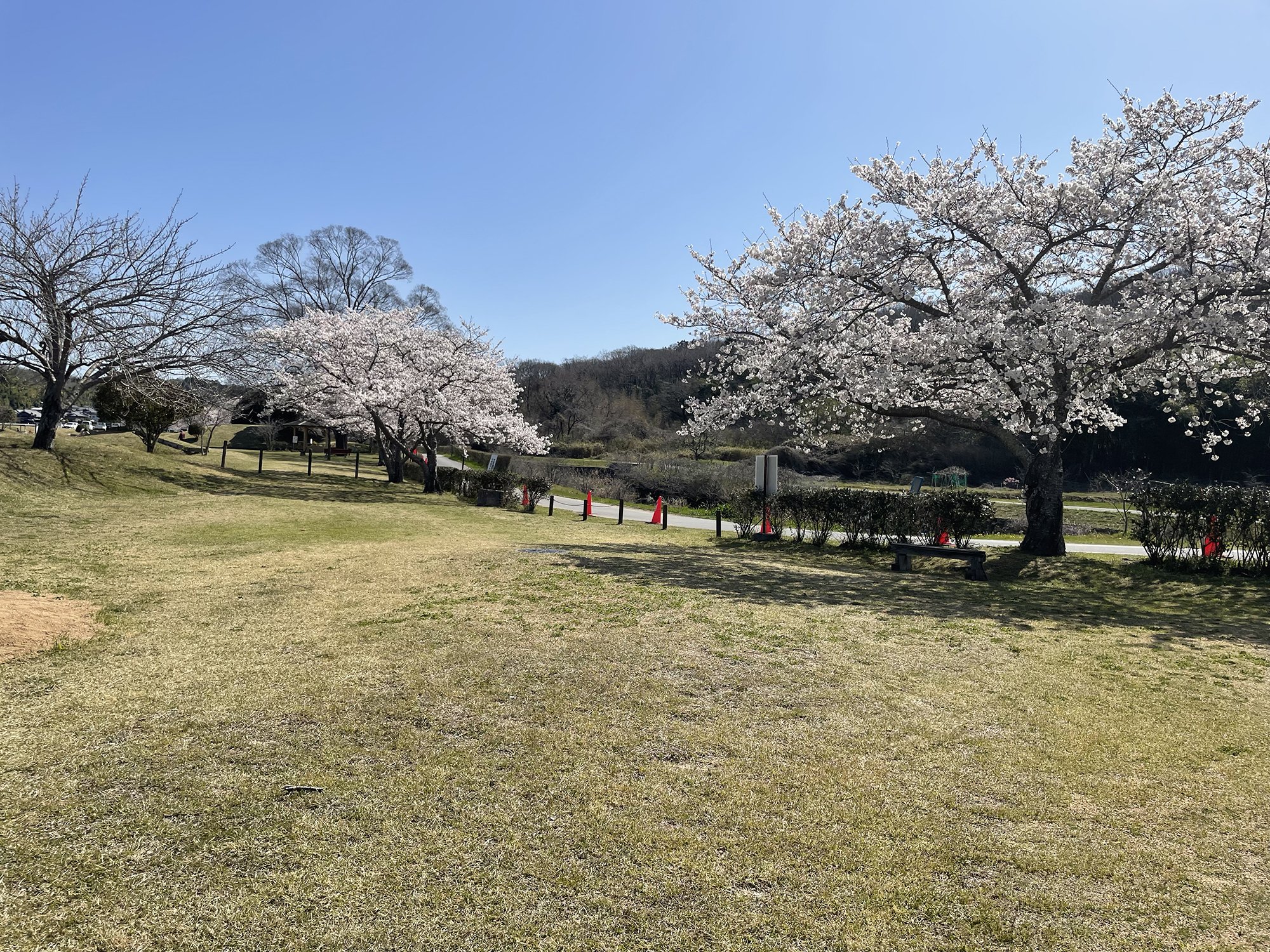 山田の里公園