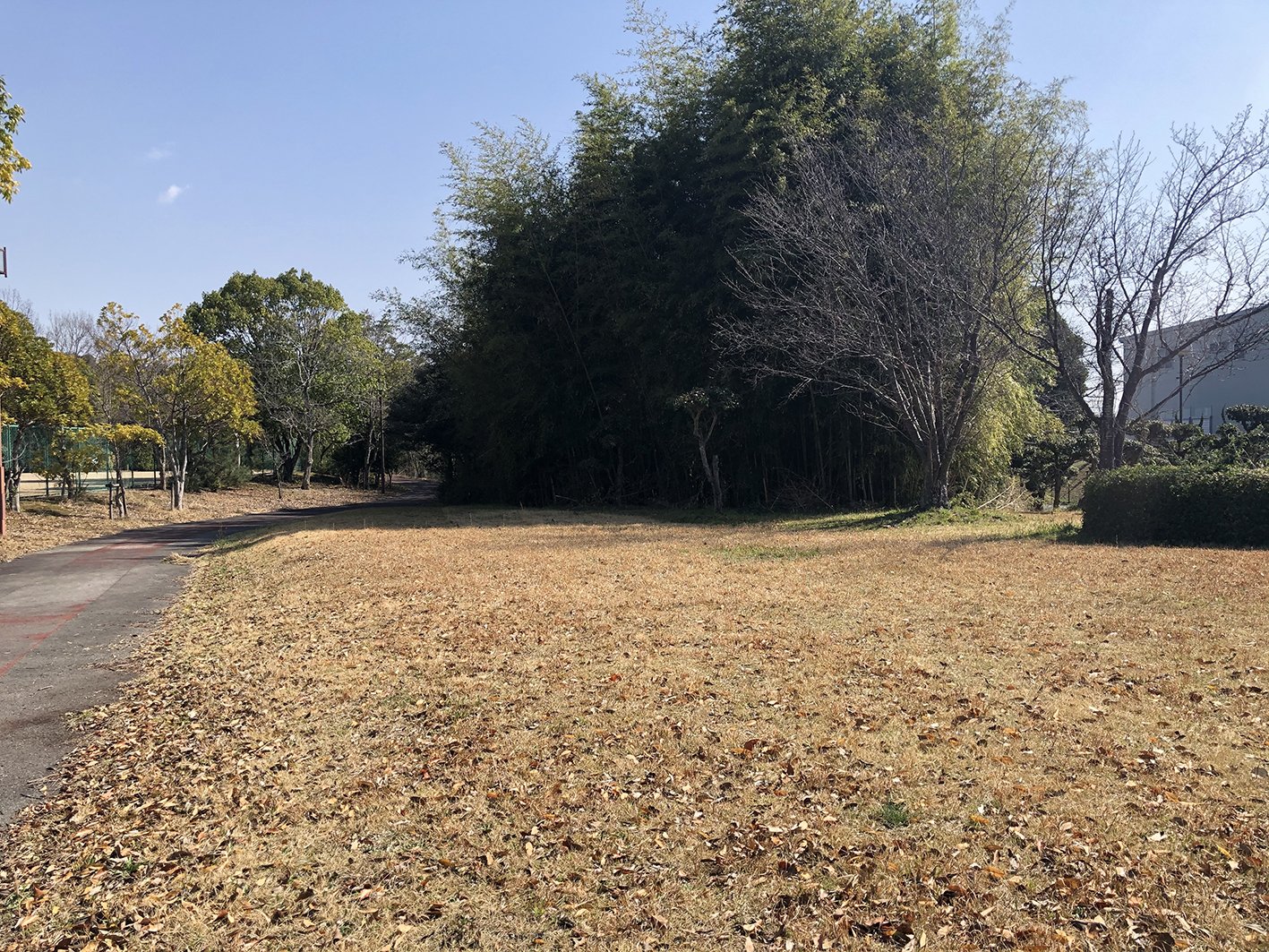 朝妻公園
