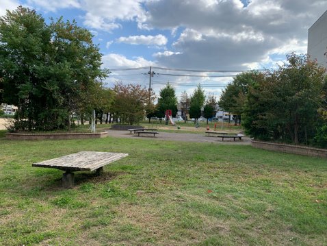 芝生広場の隣に円状のベンチ、その隣に遊具があります