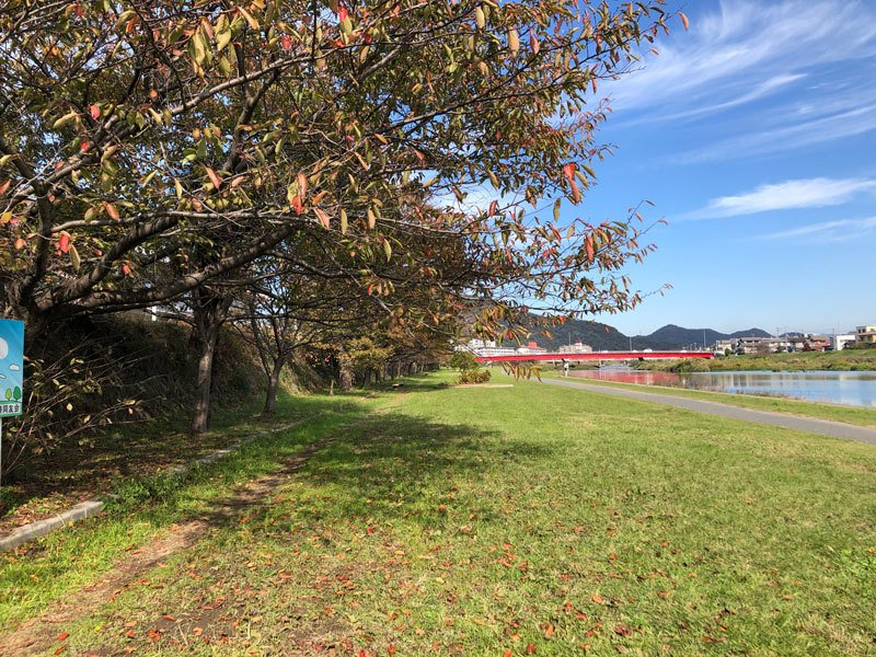 緑の広場