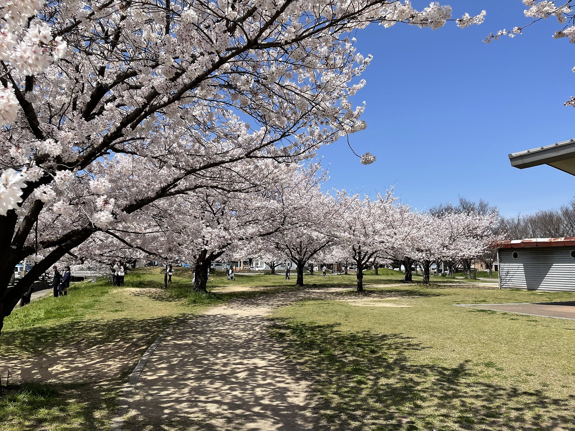 尾上公園