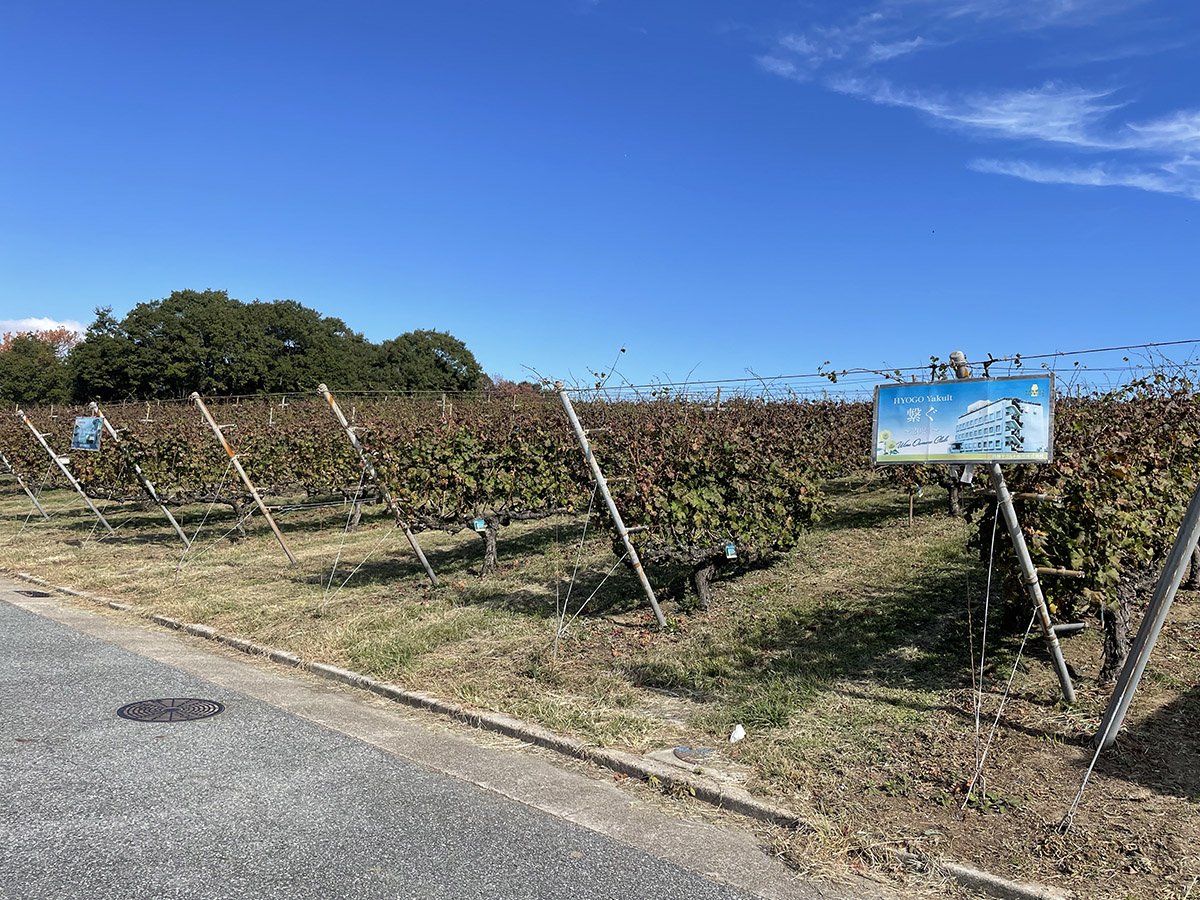 農業公園（神戸ワイナリー）