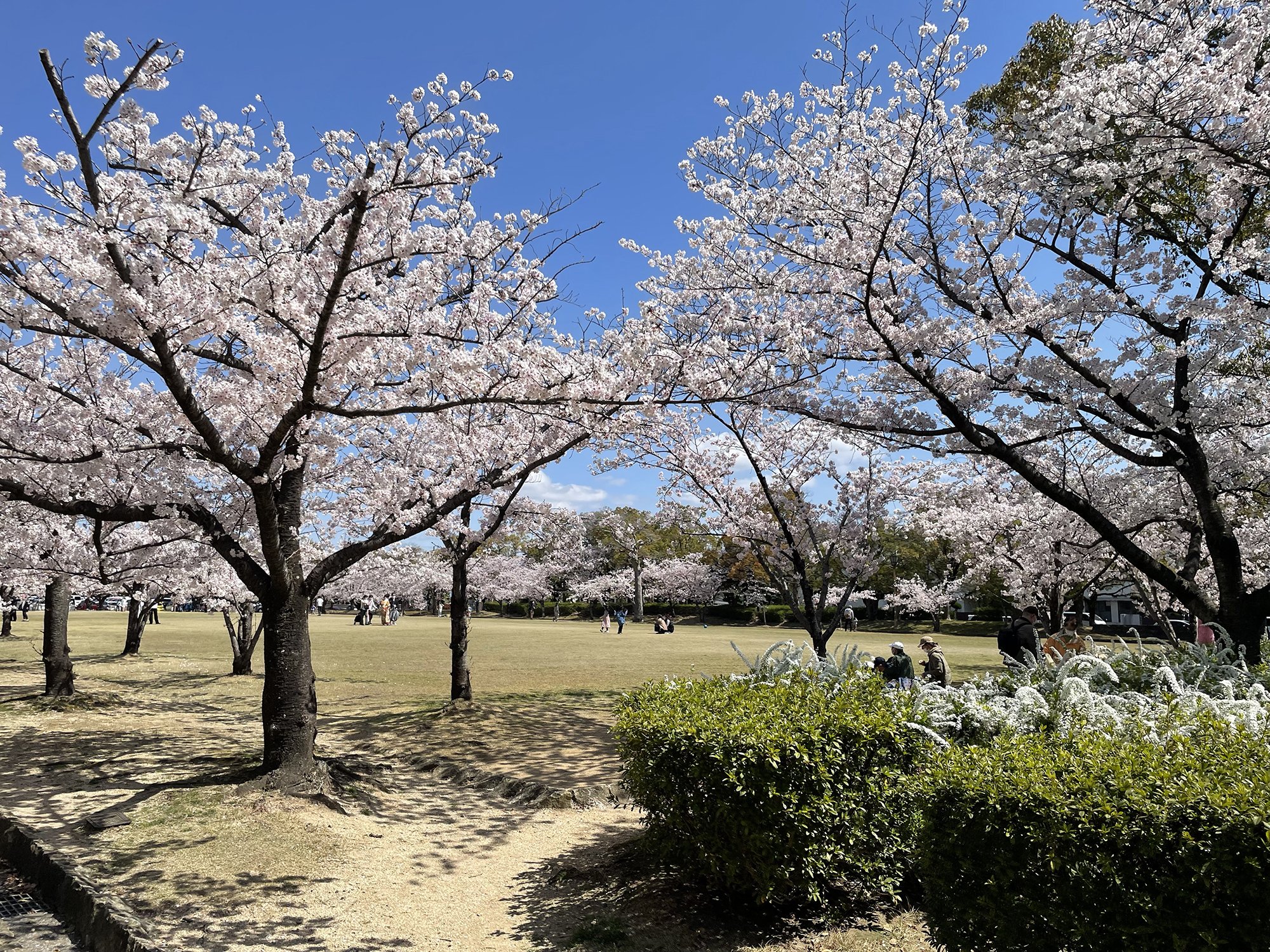 東御屋敷跡公園