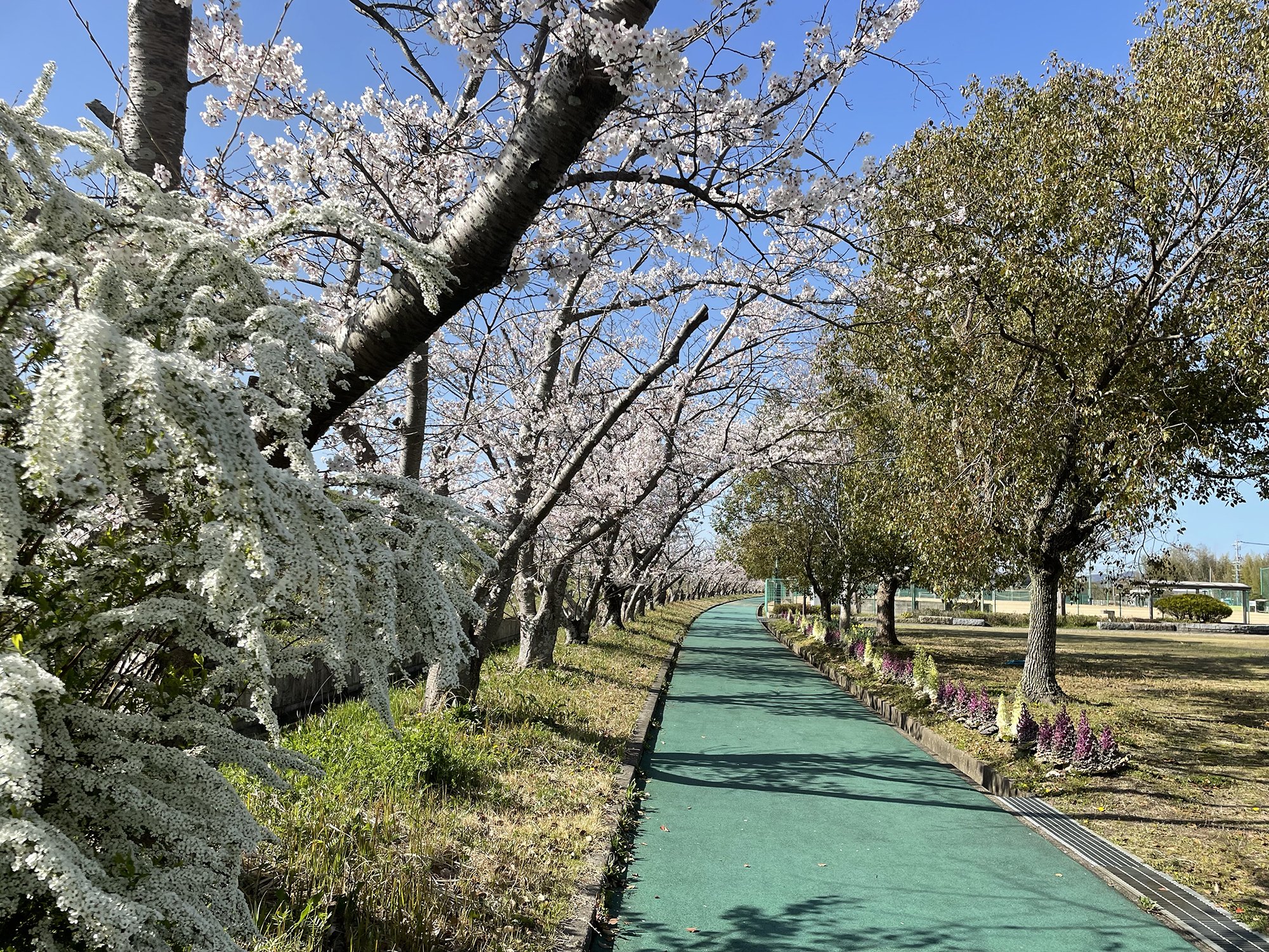 河合運動広場
