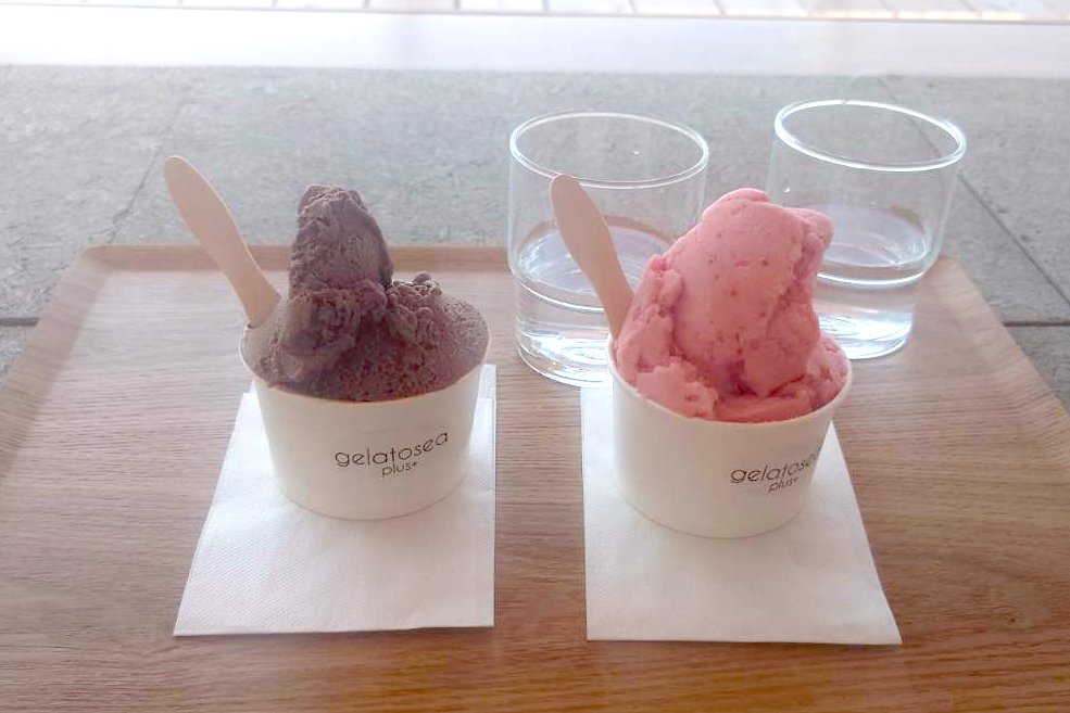 gelatosea plus+