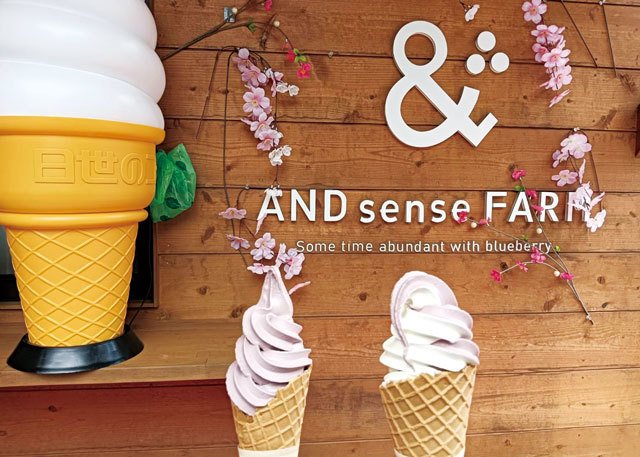 AND sense FARM