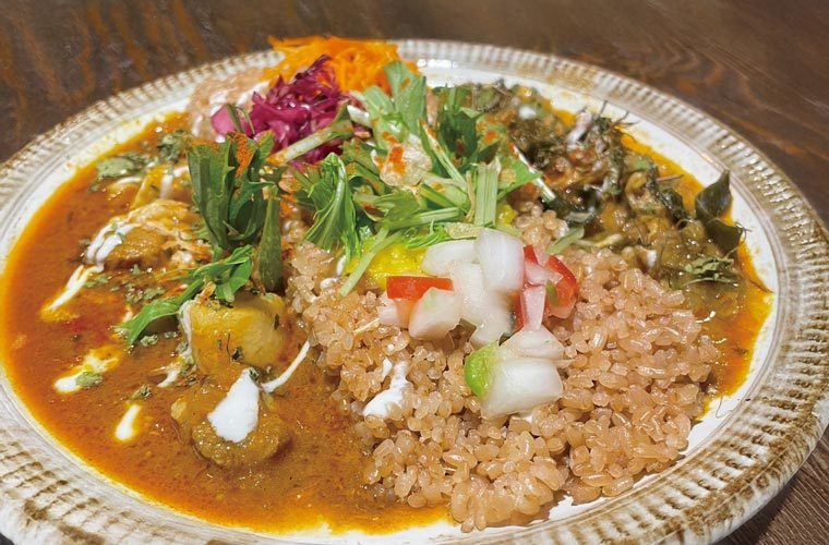 SALSA curry
