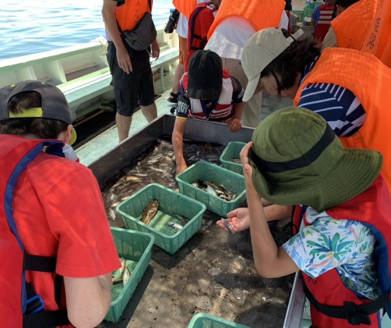 【夏休み親子体験】大人気！海の上から漁業を見学&お魚の選別体験　～坊勢島で海水浴タイム付き～