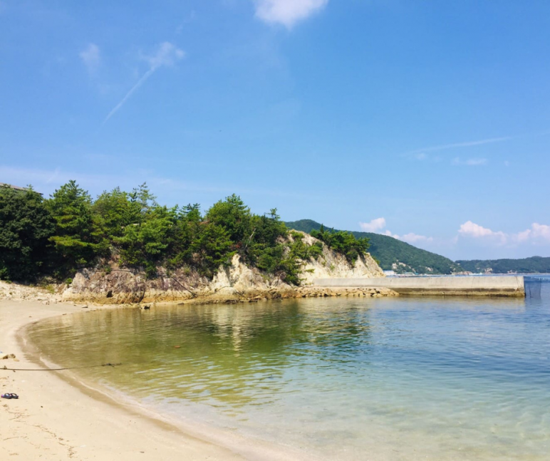 【夏休み親子体験】大人気！海の上から漁業を見学&お魚の選別体験　～坊勢島で海水浴タイム付き～