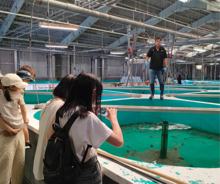 【夏休み親子体験】大人気！海の上から漁業を見学&お魚の選別体験　～坊勢島で海水浴タイム付き～