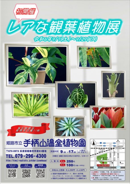 レアな観葉植物展【手柄山温室植物園】