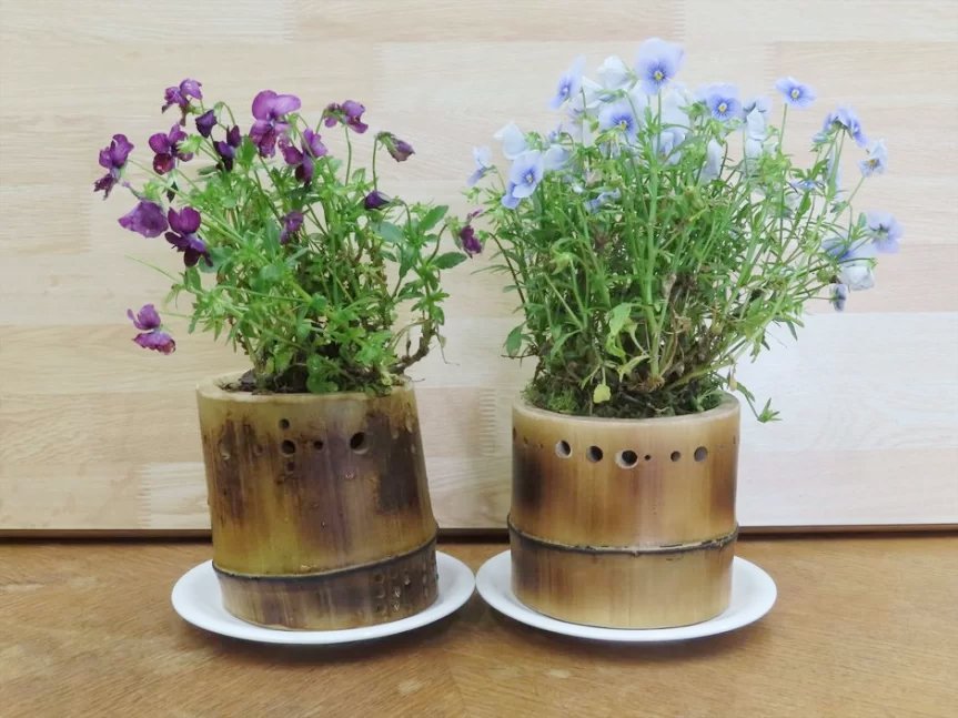 【6/1申込開始】竹の植木鉢を作ろう【姫路市自然観察の森】