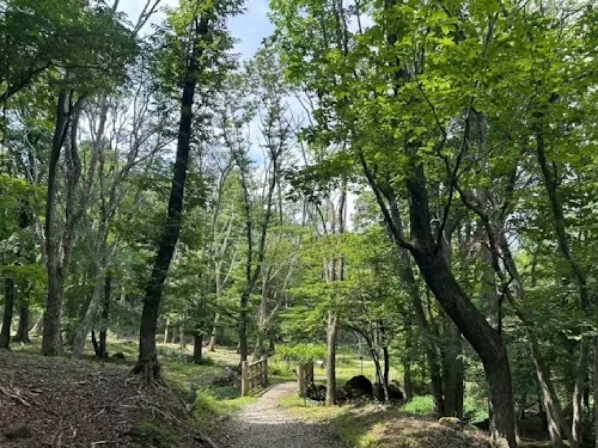 【神河町】空き家見学&自然探検ツアー