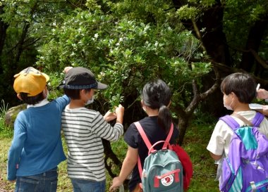 【7/1申込開始】森のフシギさがし【姫路市自然観察の森】