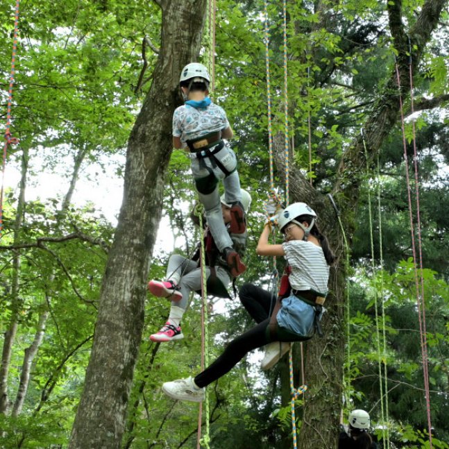 【申込要／先着順】2部制・樹と友達になろう【ゆめさきの森公園】