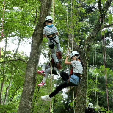 【申込要／先着順】2部制・樹と友達になろう【ゆめさきの森公園】