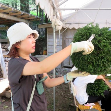 【申込要／先着順】杉玉を作ろう【ゆめさきの森公園】