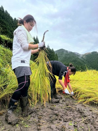 【秋イベント】9/21(日)　名水の町、神河町で稲刈り体験開催！