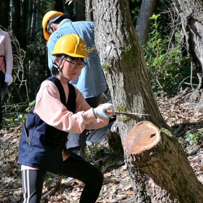 【申込要／先着順】きのこを作ろう 第１回（原木伐採）【ゆめさきの森公園】