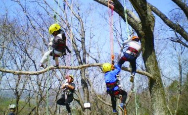 【10/1申込開始】ロープで木登り体験（ツリーイング）【姫路市自然観察の森】