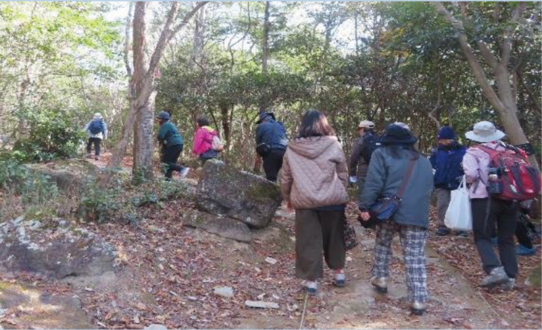 【11/1申込開始】ぶらりウォーキング【姫路市自然観察の森】