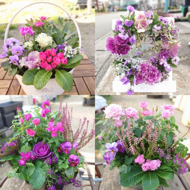 スイーツフェスティバル