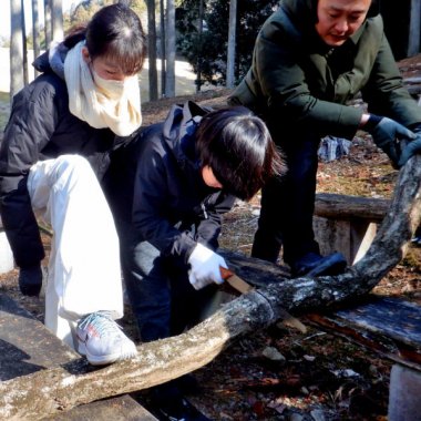 【申込要／先着順】きのこを作ろう！第2回 原木の玉切り【ゆめさきの森公園】