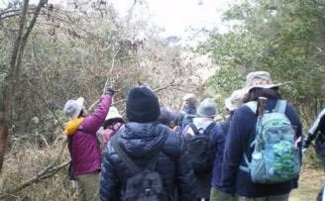 【1/1申込開始】２月ぶらりウォーキング【姫路市自然観察の森】