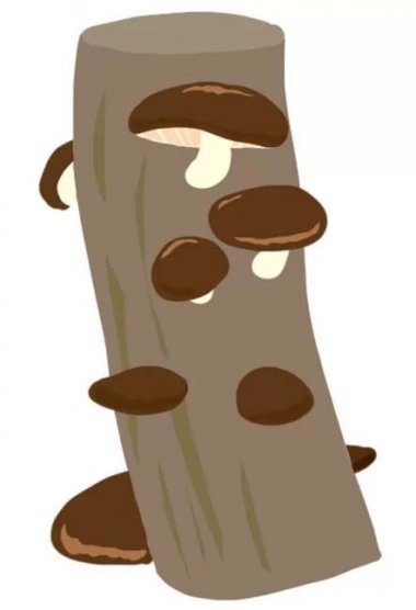 【1/1申込開始】２月キノコの駒うち体験【姫路市自然観察の森】