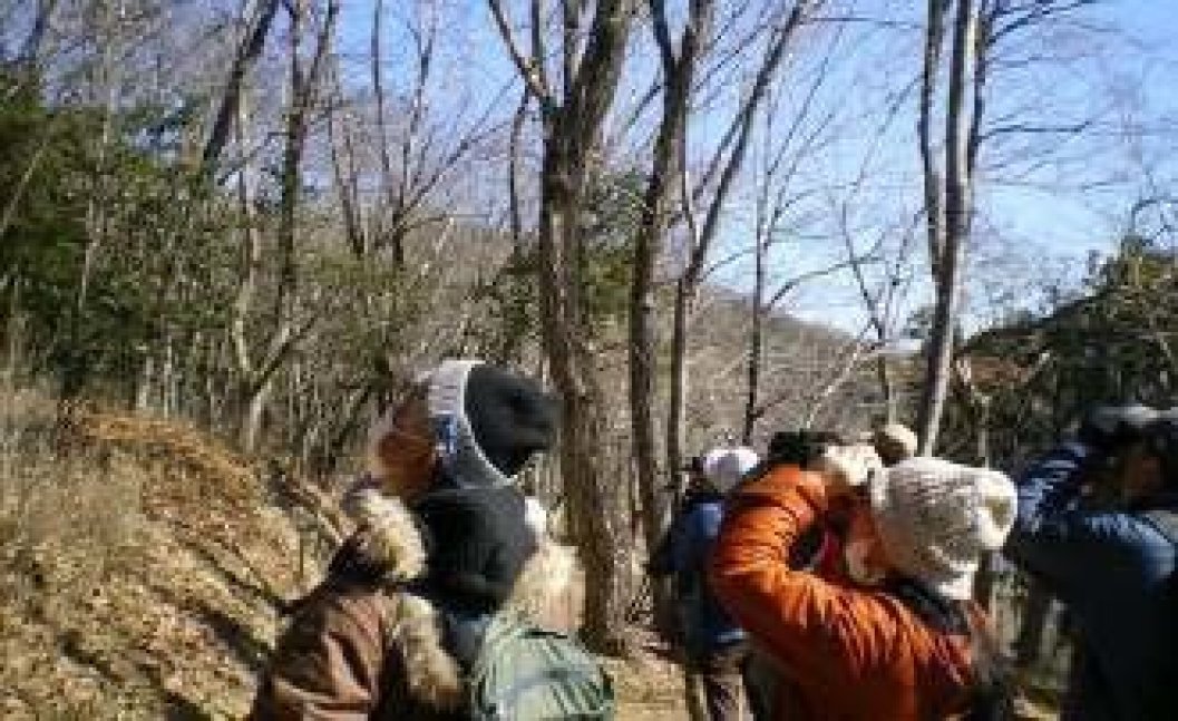【2/1申込開始】３月バードウォッチング入門【姫路市自然観察の森】