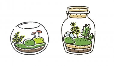 【2/1申込開始】苔テラリウム教室【姫路市自然観察の森】