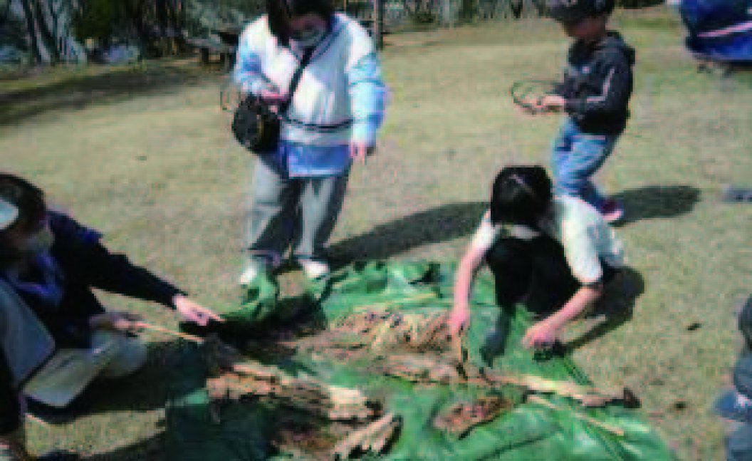 【2/1申込開始】自然の中であそび隊【姫路市自然観察の森】