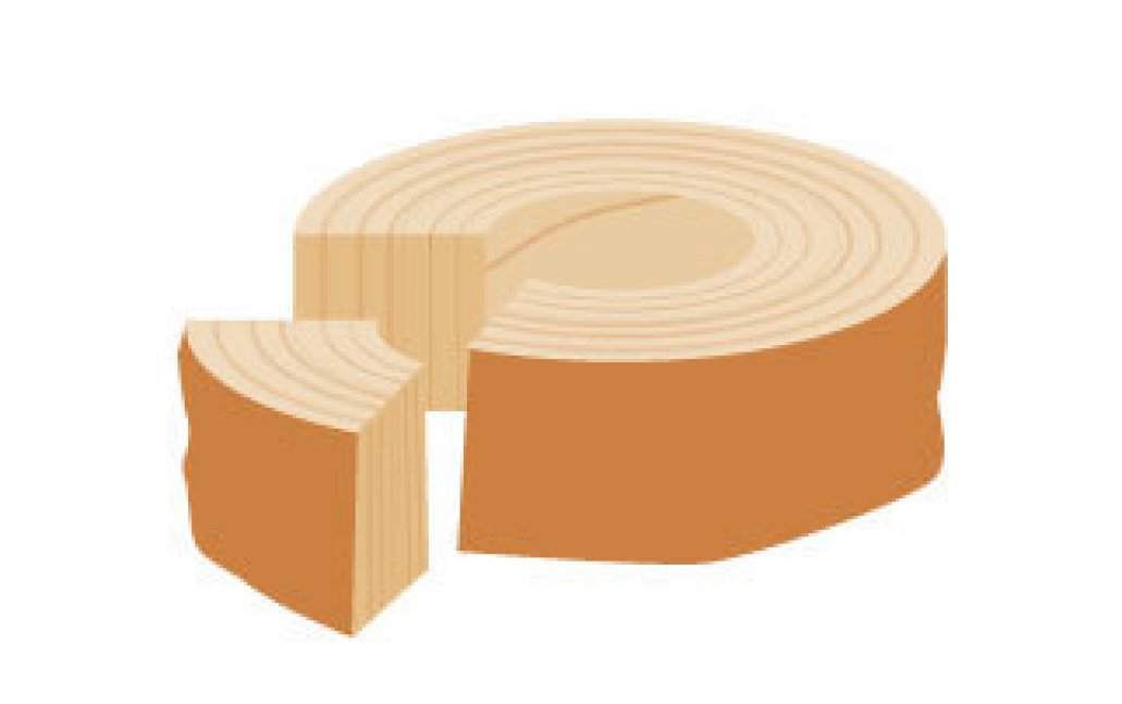 【要申込／先着順】森のバームクーヘンづくり 【国見の森公園】