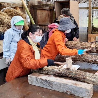 【申込要／先着順】きのこを作ろう・第3回 植菌【ゆめさきの森公園】