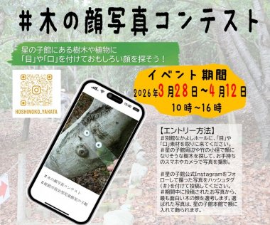 木の顔写真コンテスト【星の子館】