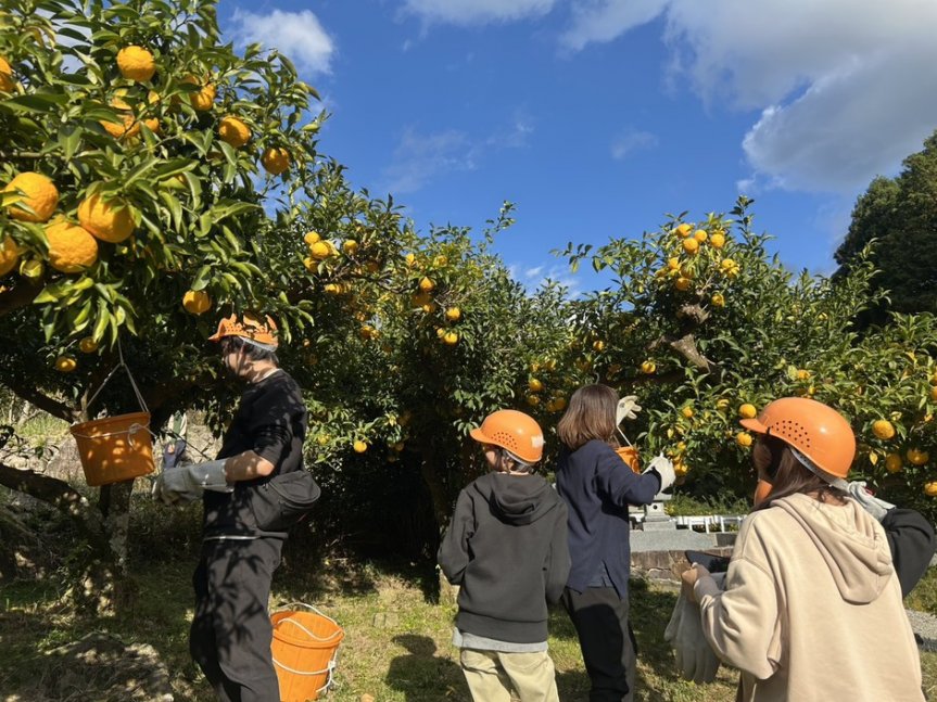 空き家見学とゆず収穫体験ツアー