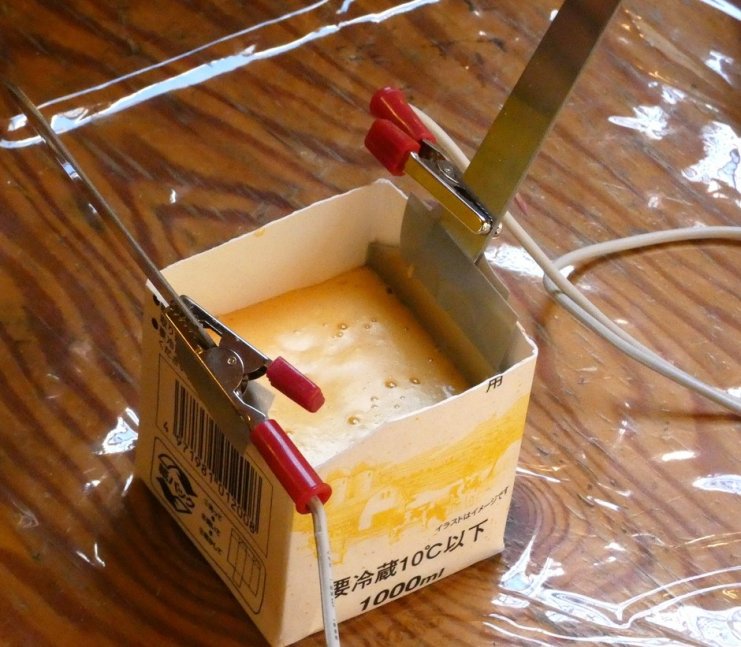 【要申込】電気パンを作ろう！【ひょうご環境体験館】