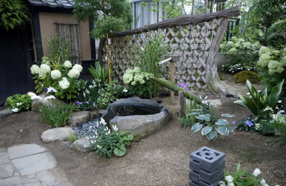 【奇跡の星の植物館】トロピカルガーデンショー 2020