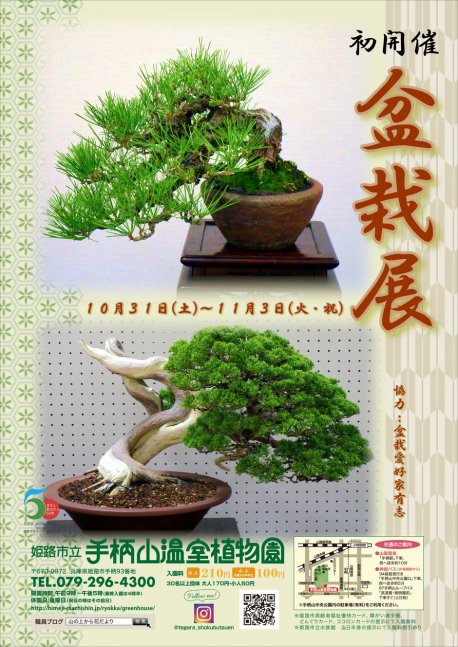【手柄山温室植物園】盆栽展