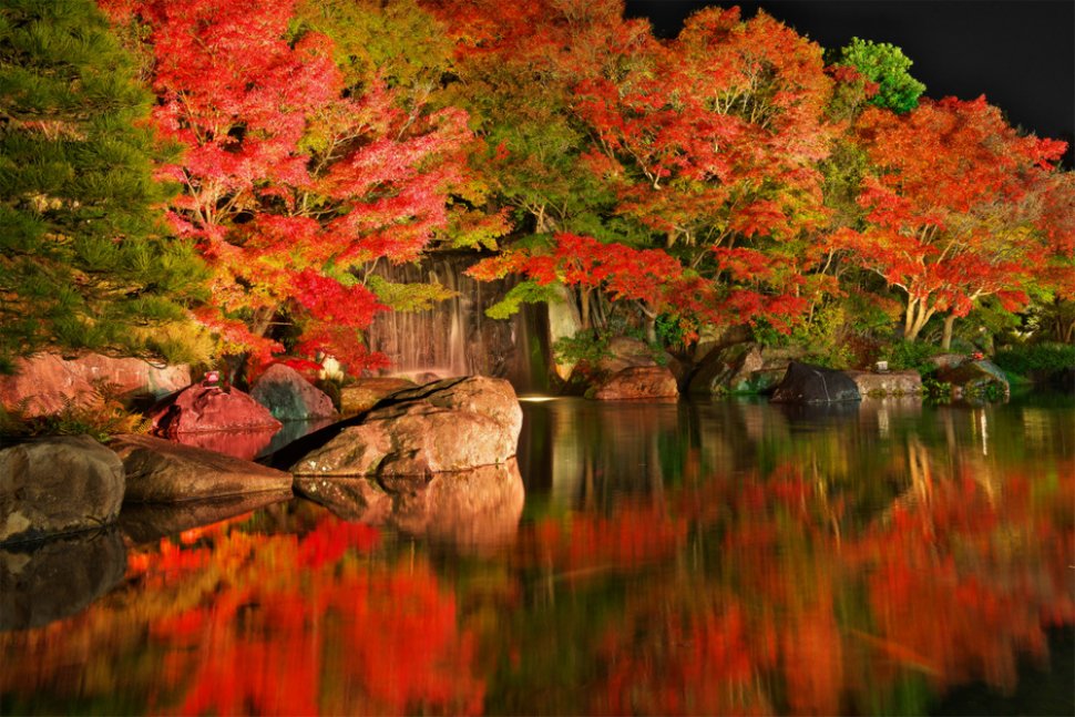 紅葉会（もみじえ）