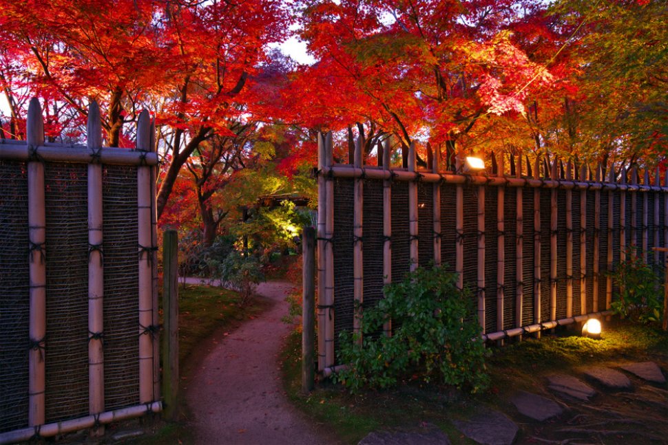 紅葉会（もみじえ）